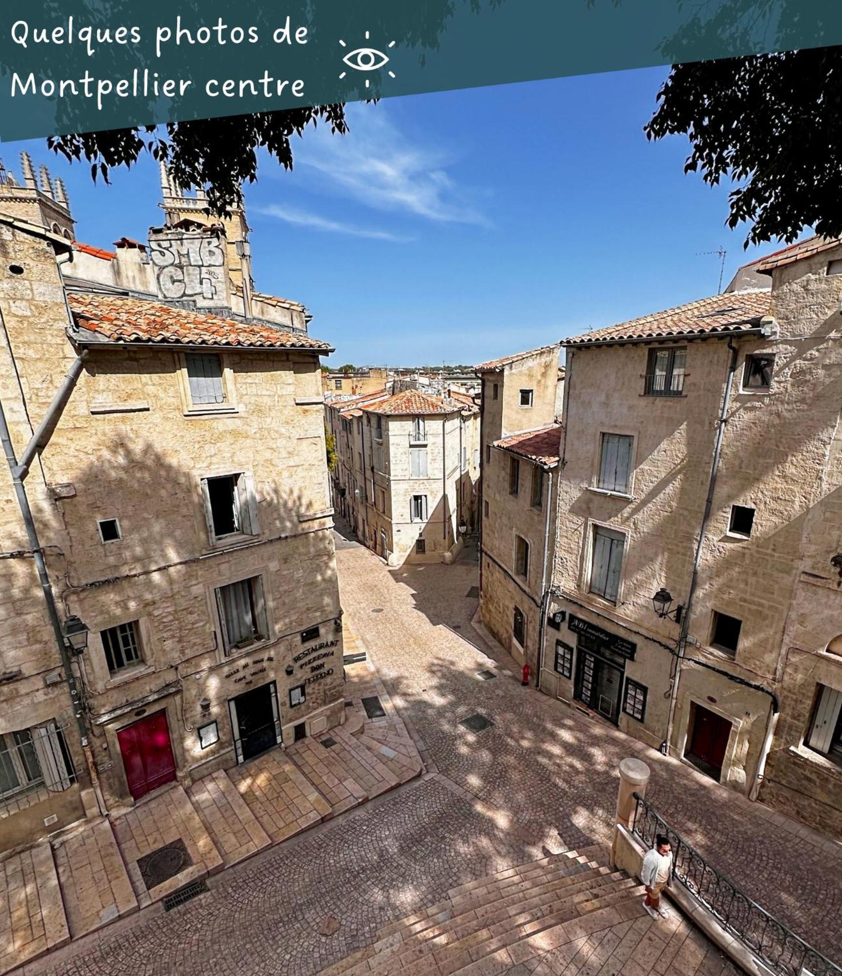 Appartement Entier Cosy Avec Balcon - Centre Montpellier Kültér fotó
