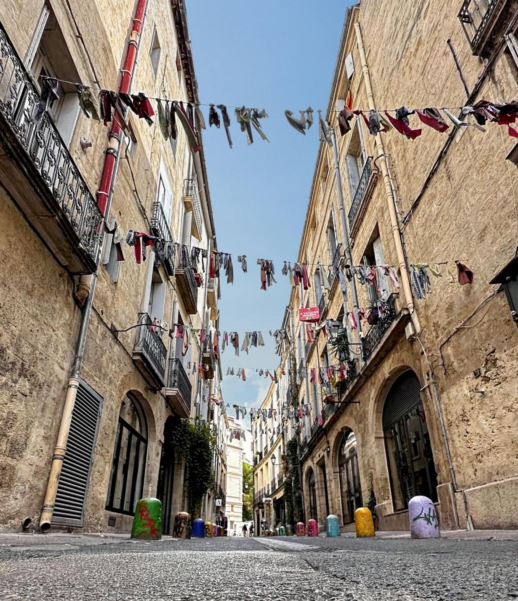 Appartement Entier Cosy Avec Balcon - Centre Montpellier Kültér fotó